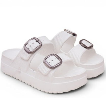 The SAGE